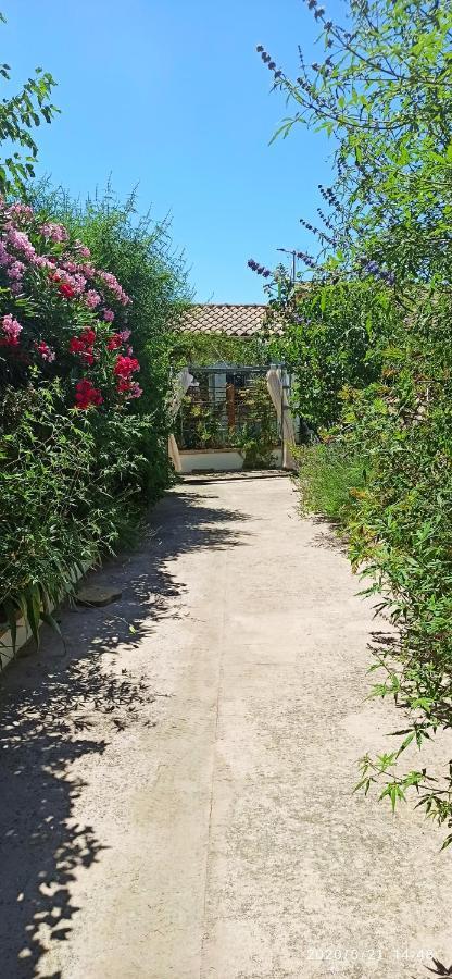 Secret Garden Chez Gilles et Tra -T2 super mignon, neuf et indépendant , dans cadre agréable et zen Valergues Esterno foto